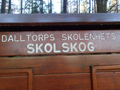 Skolskog