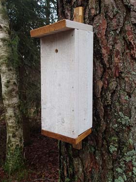 Utmed stigen påträffade denna "holk" men hålet var så litet att jag först trodde det kunde vara en cache, men så verkade inte vara fallet - en myst!?!