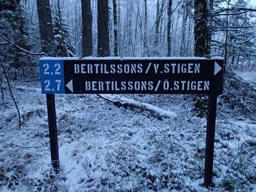 Idag skulle jag till vänster!