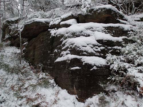 Här trodde jag det var tak, men ingen burk hittades.
