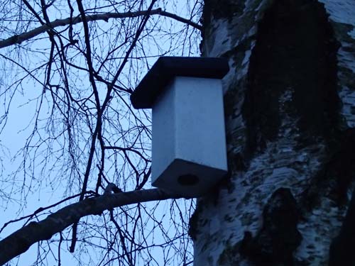 En vanlig syn denna dag!