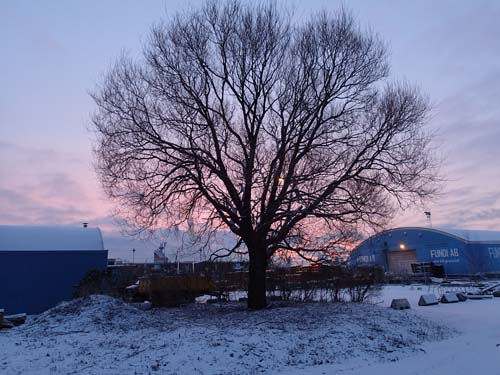 En oväntad vy i Frihamnen!