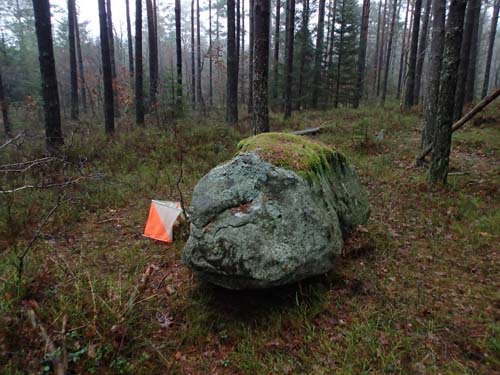 Här är inte bara geocachare aktiva.