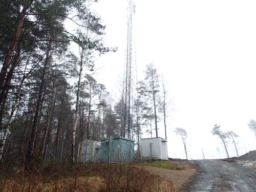 Mast