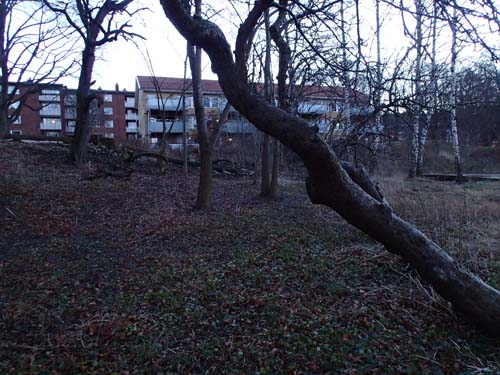 Träd-fällar-mugglare