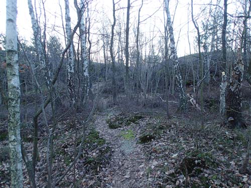Inte mycket som tyder på julfirande i denna skog - men här finns en liten letterbox med juligt innehåll.