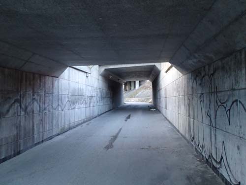 Jag tror inte Aggie har grävt dessa!