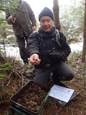 TMR68 leker med kottar