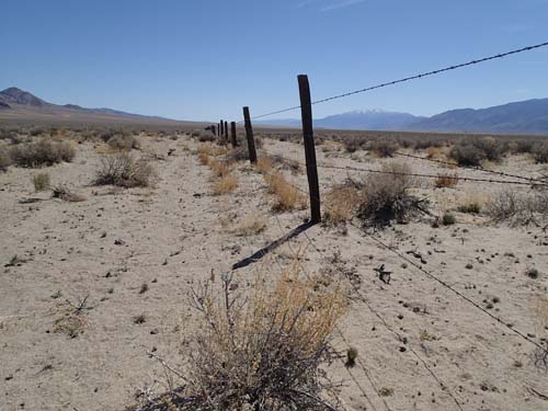 Taggtråden delade på flera platser geo-arten, det blev till att krypa under, gång på gång