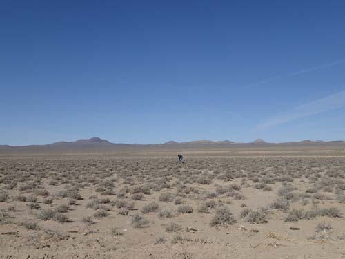 Är det inte torado som loggar där ute...?