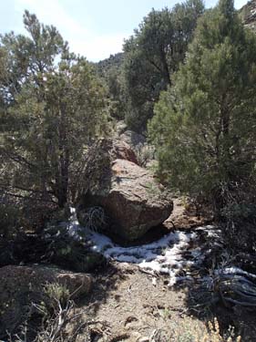 Mellan träden låg det en hel del snö - tillräckligt för ett mini-snöbolls-krig.