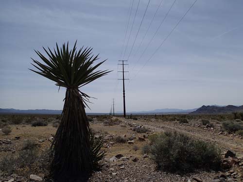 Pole Dancing, nu förstår ni namnet...