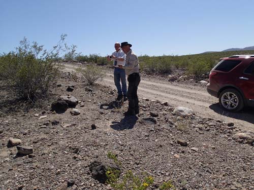 Alla ville se sköldpaddan!