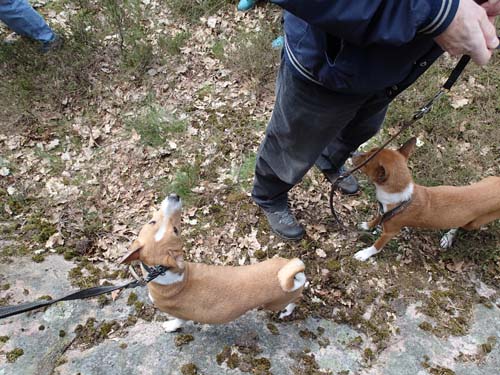 Dagens mest oväntade uppdrag!