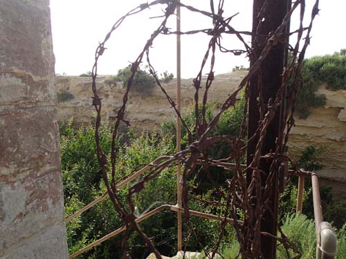 Taggtråd, det måste vara rätt väg!