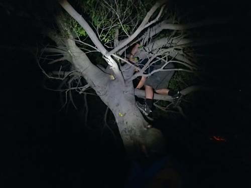 Trädklättring var populärt men gav ingen utdelning.