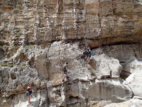 Mugglare är märkliga.