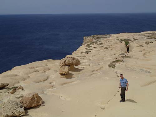 Svampar på stranden?