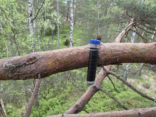 Inte långt från marken - härligt att få denna loggad!