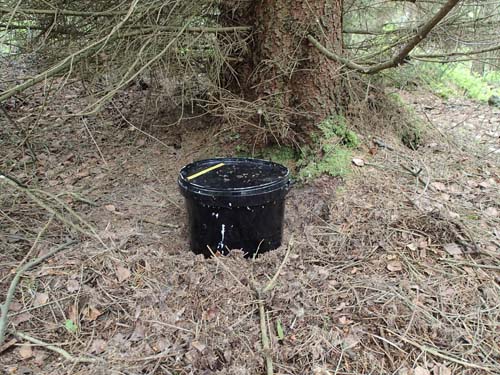 En spann - vad har han hittat på nu?