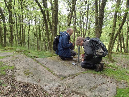 Sista loggen - i detta område!