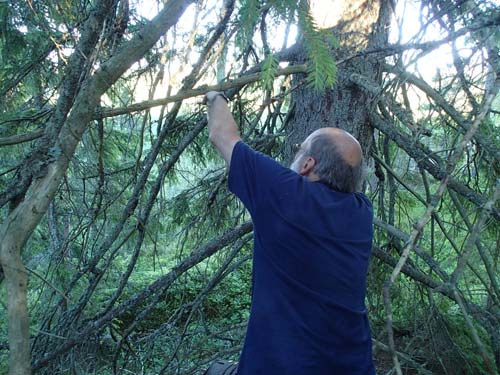 Bara en gran till....