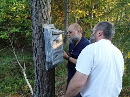 Detta är svårare än det ser ut!