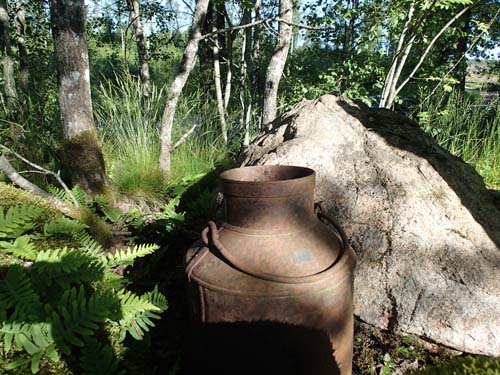 Här var mjölken slut, dock fanns resterna av ett övergivet getingbo i kannan.... samt en cache som inte var övergiven av sin loggbok.