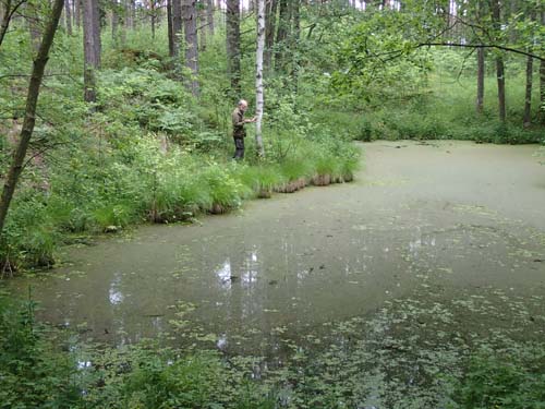 Morgondopp eller morgoncache?