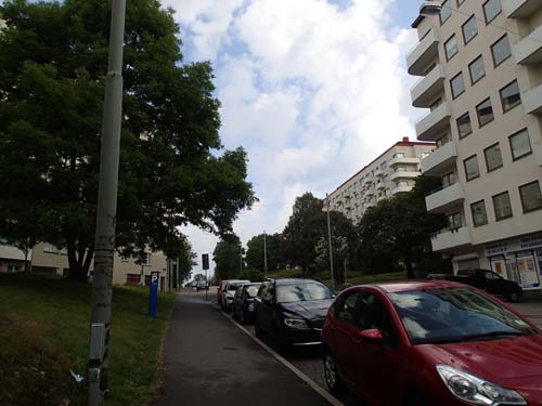 I råttornas kvarter!