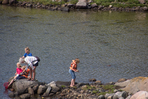 Jag tvivlar på att detta gäng gått den väg som jag gick...