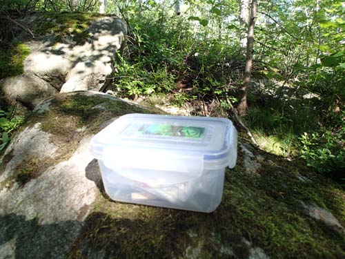 Liten burk under sten