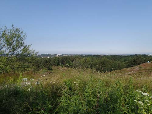 Utsikt från Änggårdsbergen