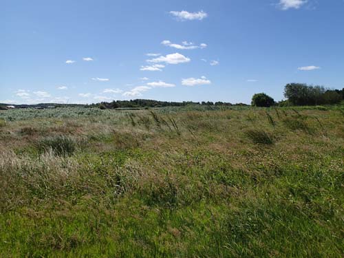 Och här skall finnas en micro!