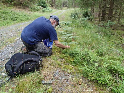 Så var det dags för mugglaraktiviteter igen!