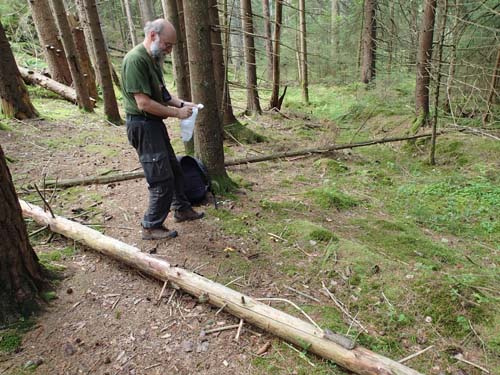 Ingabo kastar sig över några....