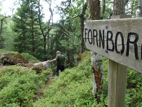 Ingabo gör en utbrytning ur borgen!