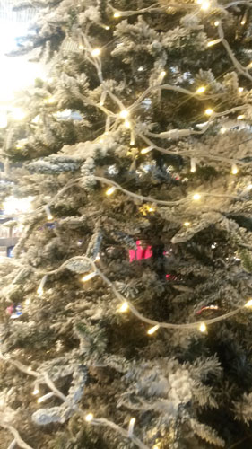 I Helsingfors firas julen i augusti....!!