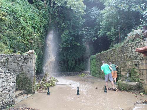 OLYMPUS DIGITAL CAMERA