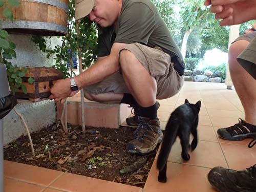 OLYMPUS DIGITAL CAMERA