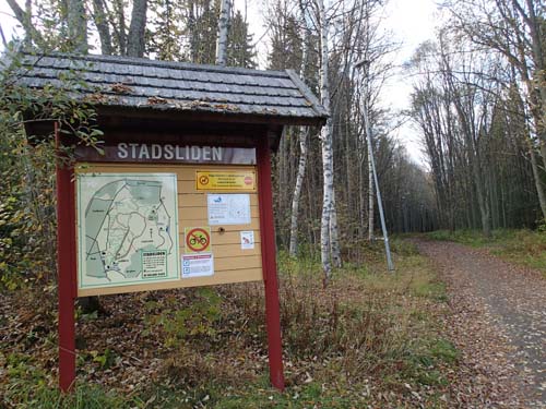 Välkommen ut i skogen!