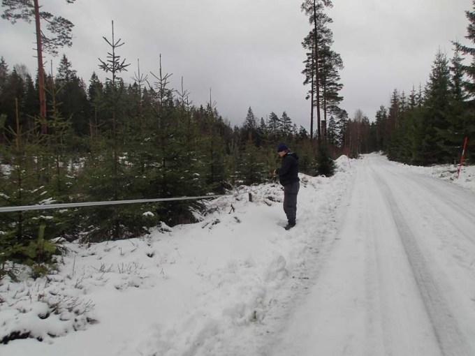 En vanlig syn under dagen!