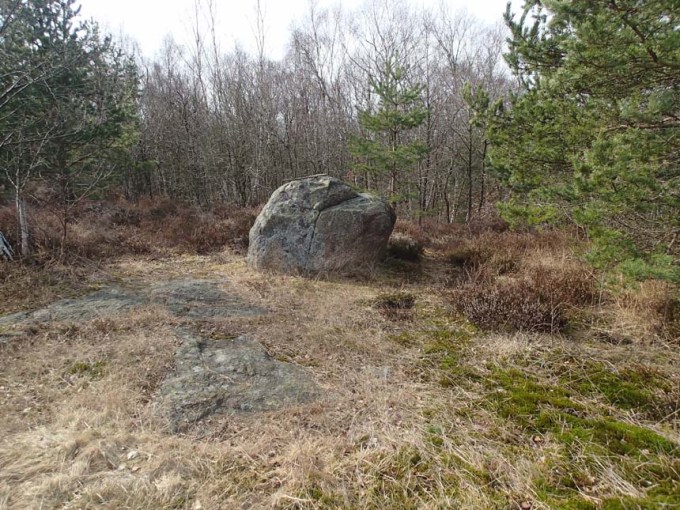 Tror ni att här kan finnas...