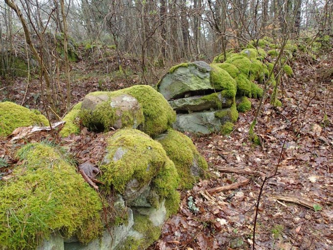 Några tycker stenar är mossigt, men mossiga stenar är ganska trevlig....