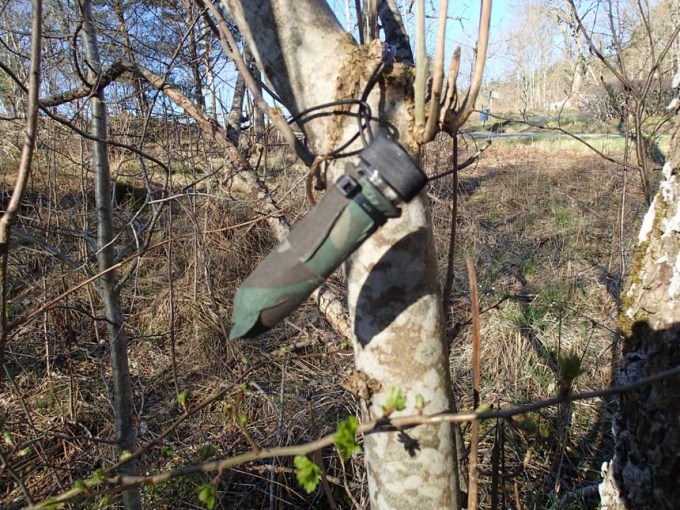 En inte helt ovanlig syn denna dag!