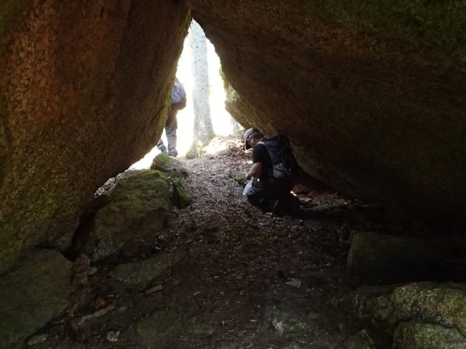 Finns det något tjuvgods här?