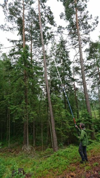 Hallén sätter igång och fiskar. (Foto: TMR68)