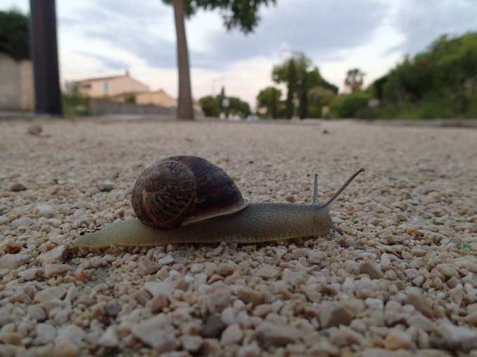 Idag skulle det inte bli slow-caching!