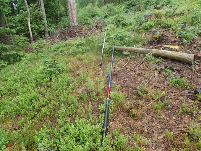 Kanske kan man lägga i hop två spön?