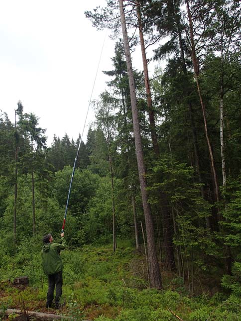 Något vingligt var det att använda ett dubbelspö! (Foto: Ingabo)